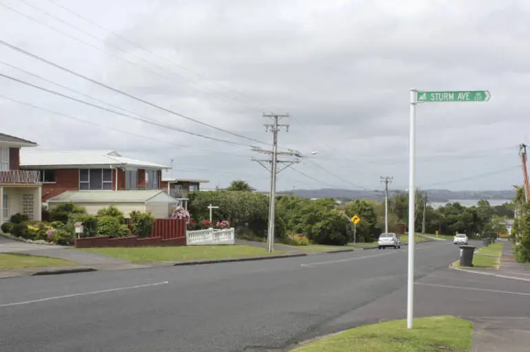 Image: Royal Road, Massey, 2014