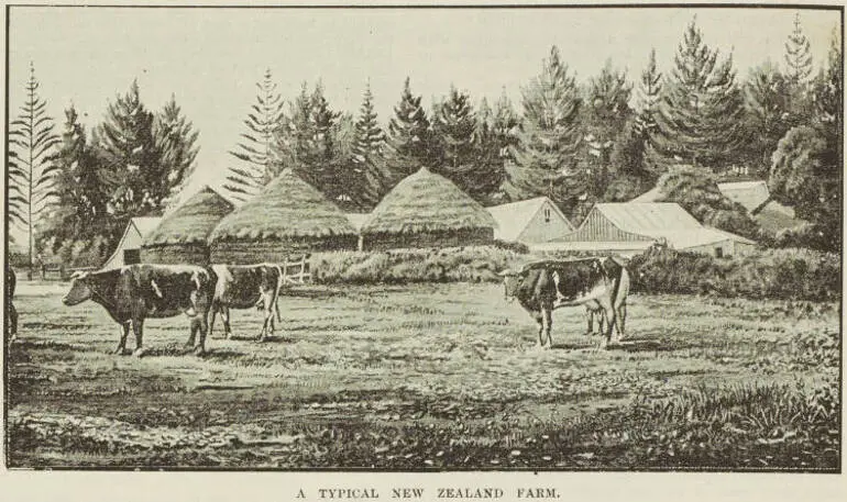 Image: A typical New Zealand farm