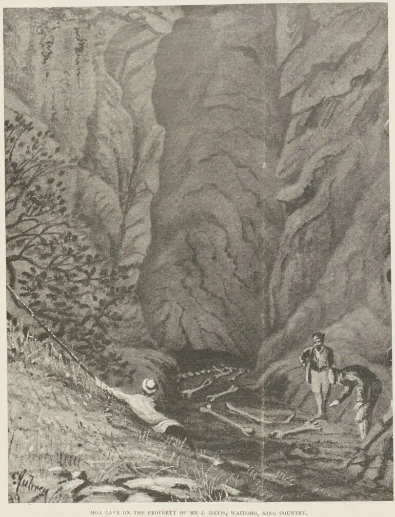 Image: Moa cave on the property of Mr J. Davis, Waitomo, King Country