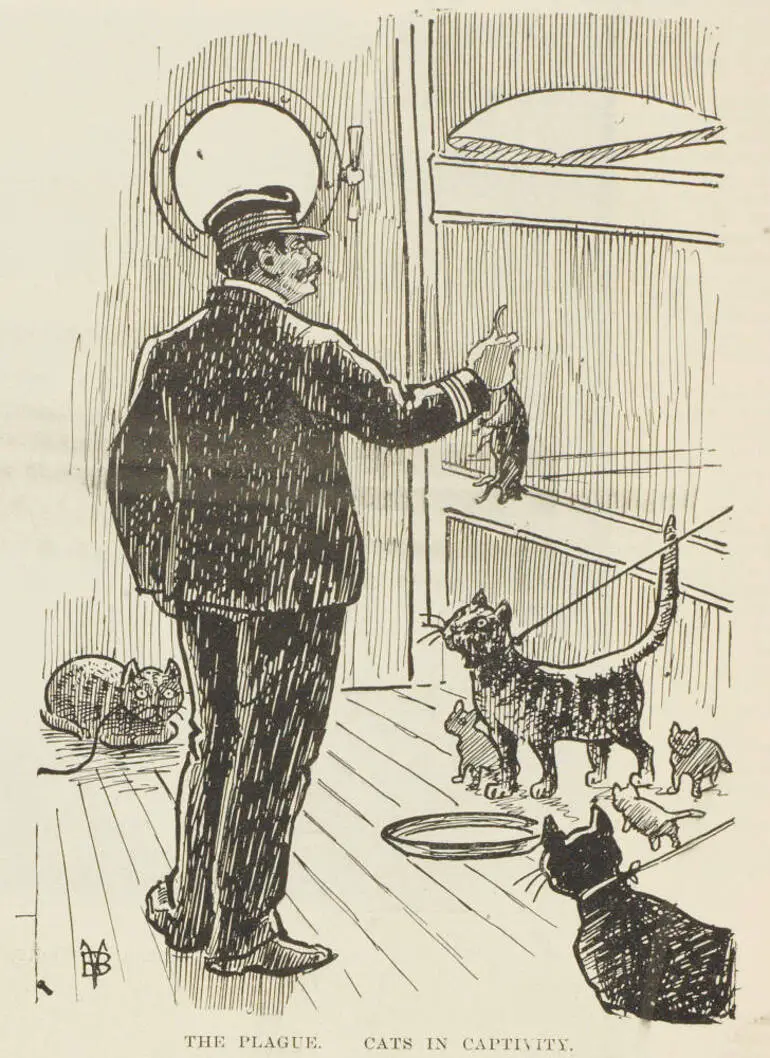 Image: Cats in captivity