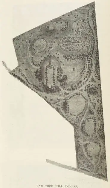 One Tree Hill Domain Image: One Tree Hill Domain