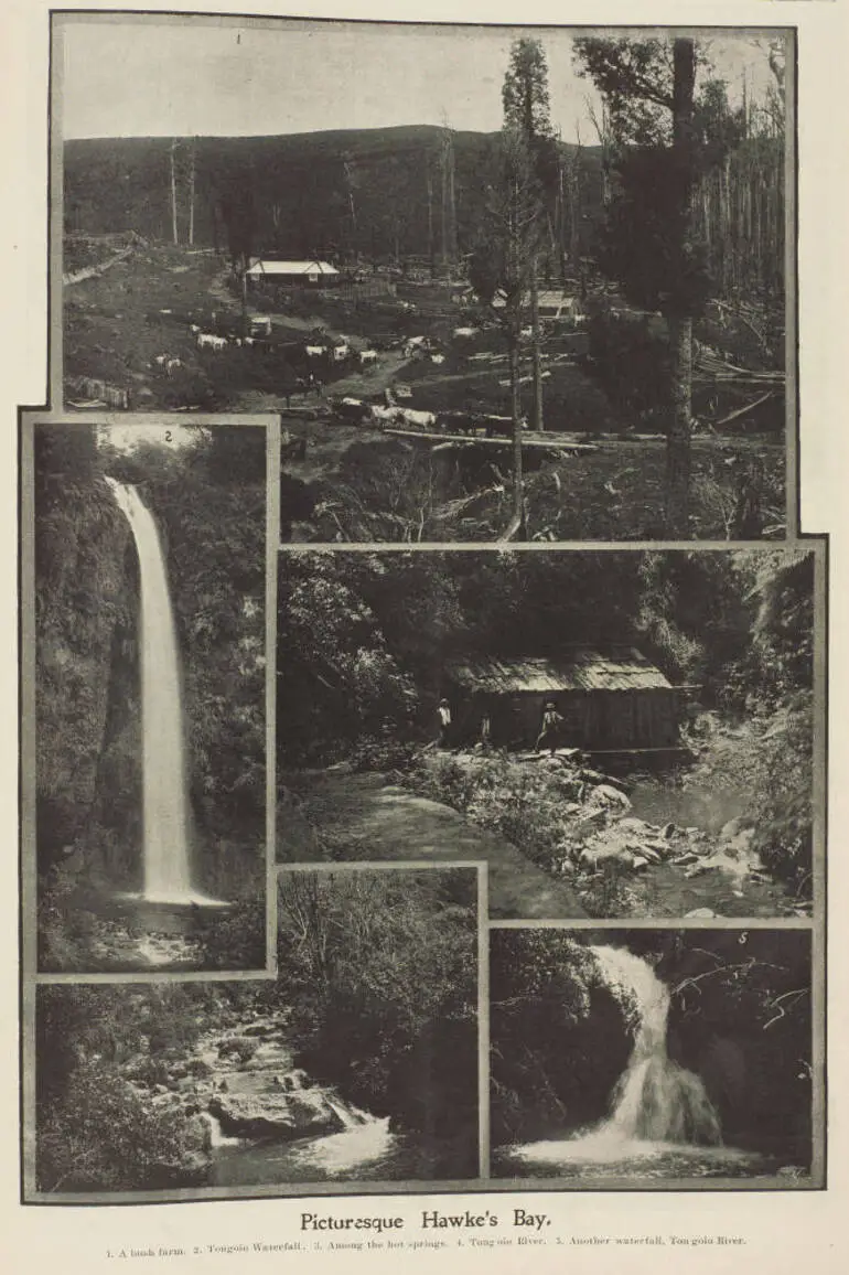 Image: Picturesque Hawke's Bay