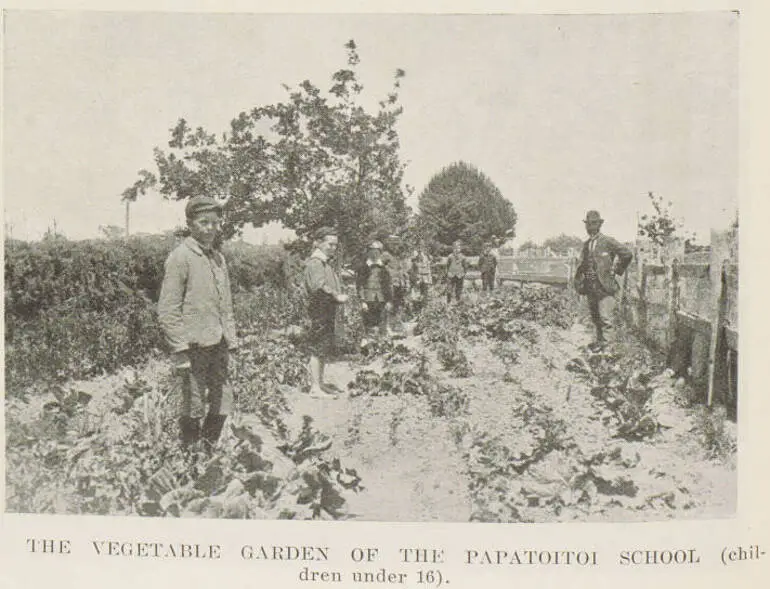 Image: The vegetable garden of the Papatoitoi School (children under 16)
