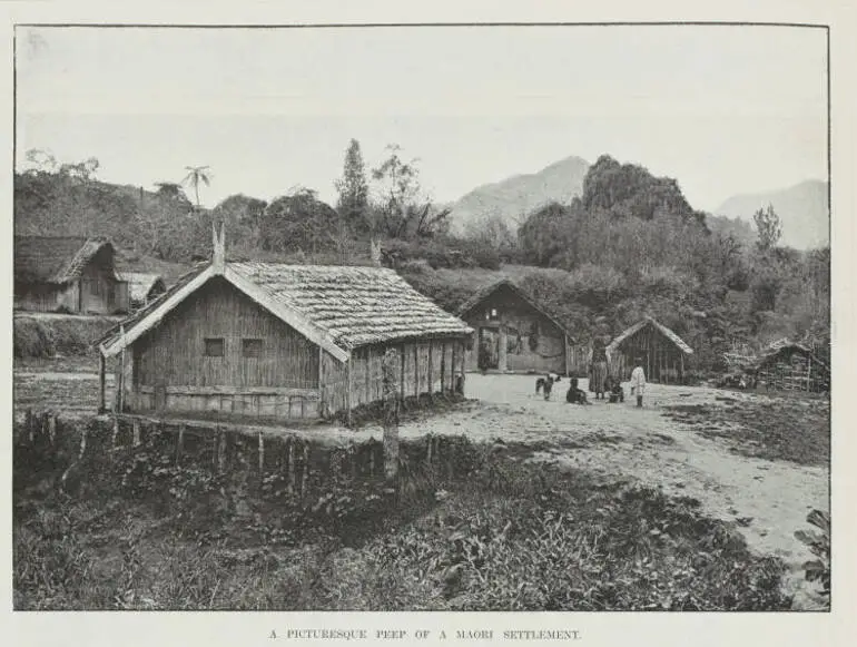 Image: A picturesque peep of a Māori settlement