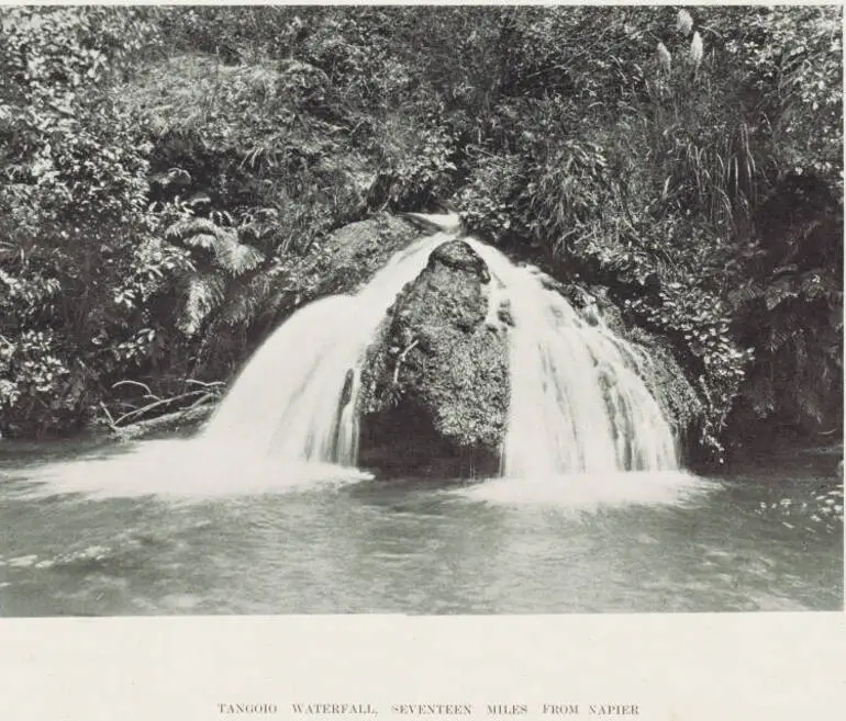 Image: Tangoio waterfall, seventeen miles from Napier