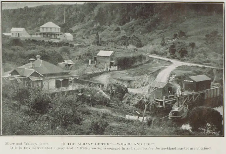 Image: In the Albany district - wharf and port