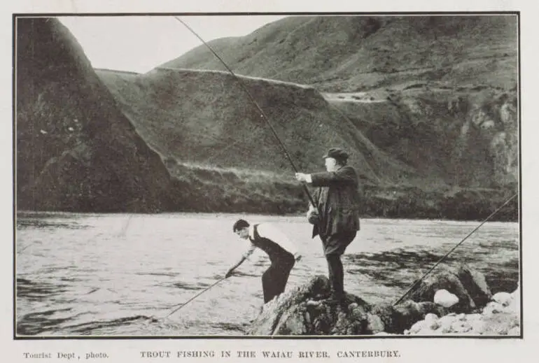Image: Trout fishing in the Waiau River, Canterbury