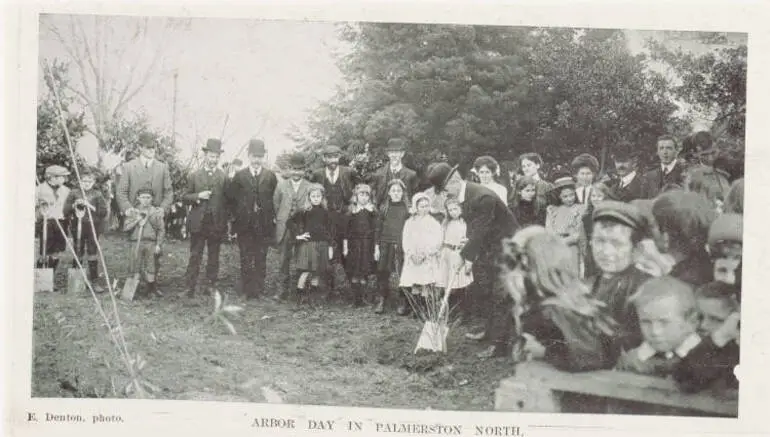 Image: Arbor day in Palmerston North