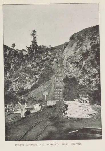 Image: Incline, Ngunguru Coal Company's mine, Kiripaka
