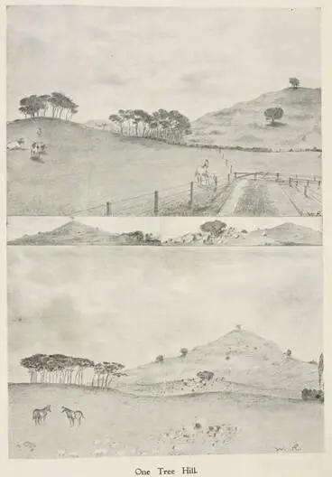 One Tree Hill Image: One Tree Hill