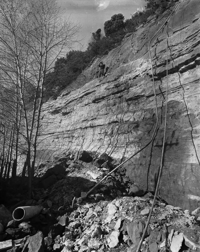 Image: Cliff behind the Parnell Baths, Judges Bay, 1954