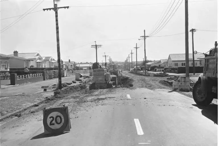 Image: Meola Road, Point Chevalier, 1964