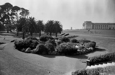 Image: Pond in the Auckland Domain, 1964