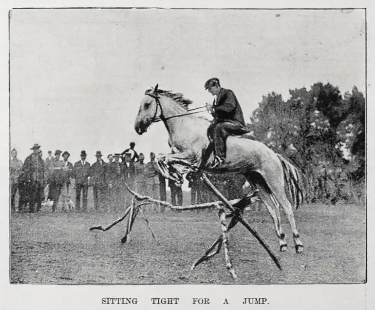 Image: Sitting tight for a jump