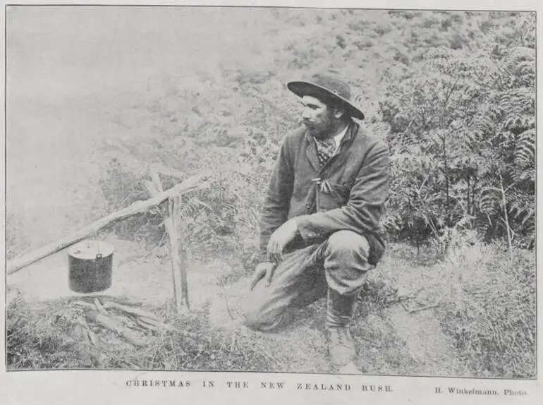 Image: Christmas in the New Zealand Bush