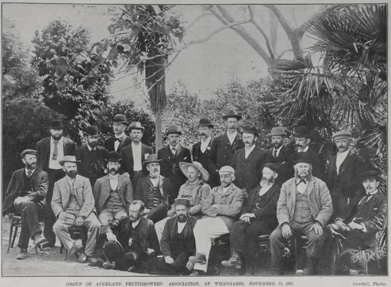 Image: Group of Auckland Fruitgrowers' Association, at Whangarei, November 15, 1899