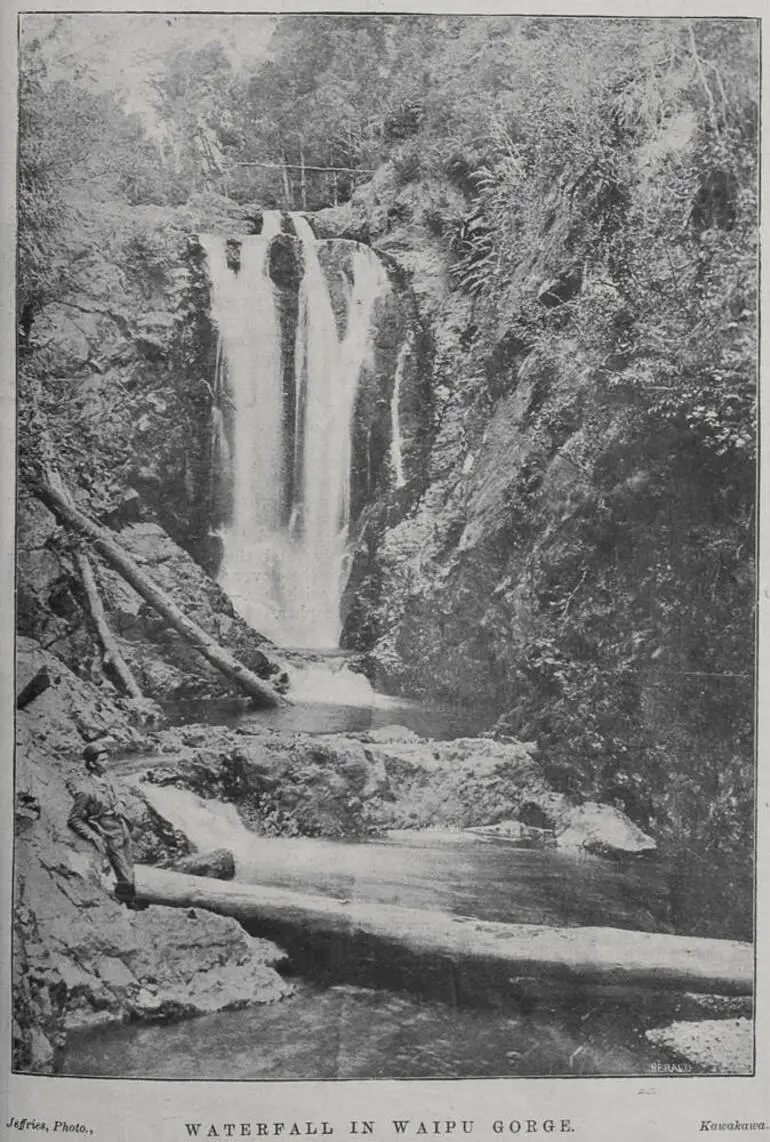Image: Waterfall in Waipu Gorge