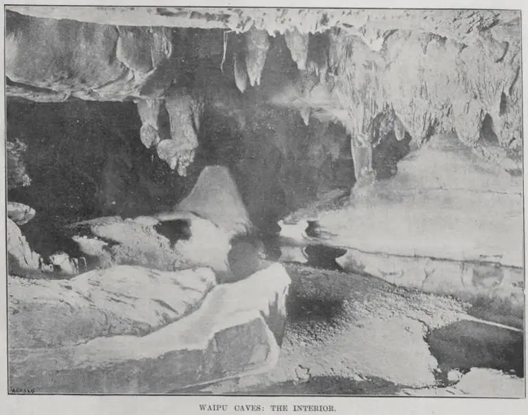 Image: Waipu Caves: The Interior