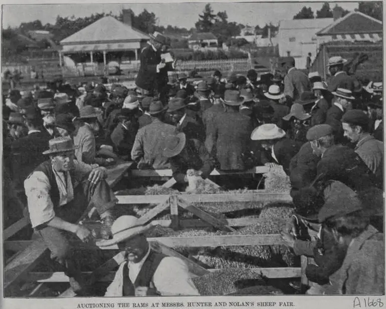 Image: Auctioning the rams at Messrs Hunter and Nolan's sheep fair