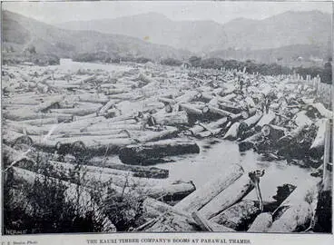 Image: The Kauri Timber Company's booms at Parawai, Thames