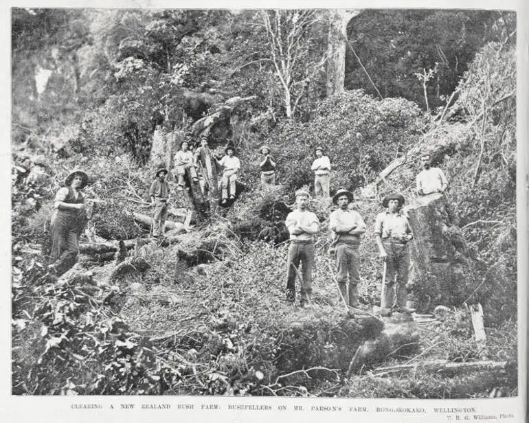 Image: Bushfellers clearing bush on Mr Parson's farm, Rongokokako, Wellington