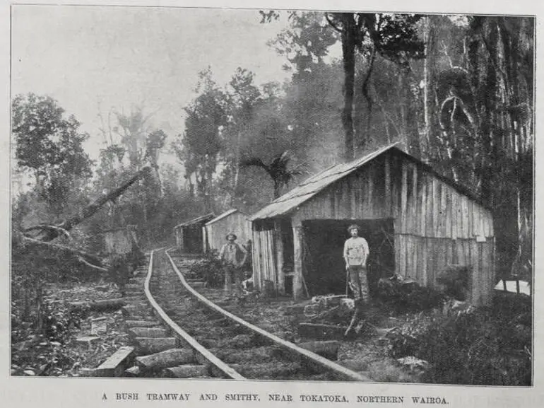 Image: A bush tramway and smithy near Tokatoka, Northern Wairoa