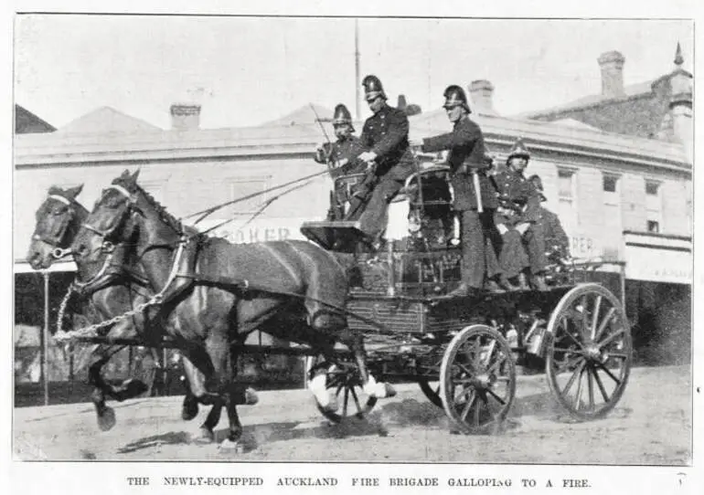 Image: The newly equipped Auckland fire brigade galloping to a fire