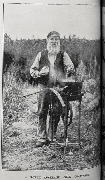 Image: A North Auckland coal prospector