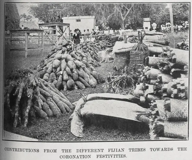 Image: Contributions from the different Fijian tribes towards the Coronation festivities