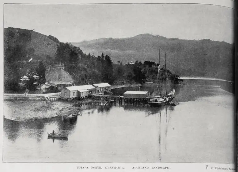 Image: Totara North, Whangaroa, landscape