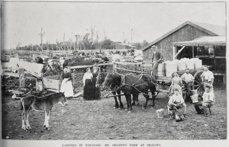 Image: Dairying in Taranaki: Mr Gilling's farm at Okaiawa