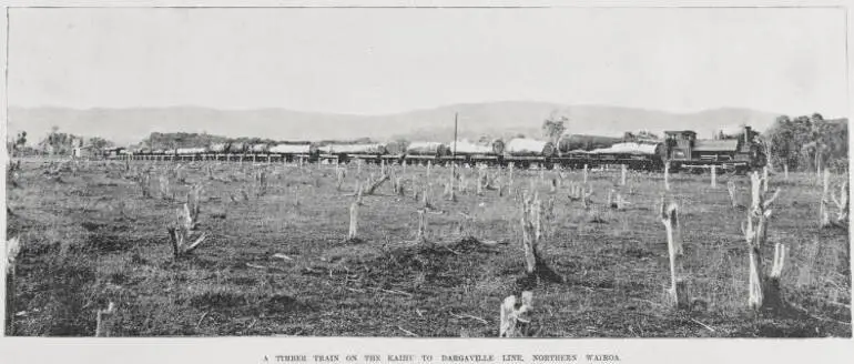 Image: An important timber centre: Scenes in the Northern Wairoa district, Auckland province