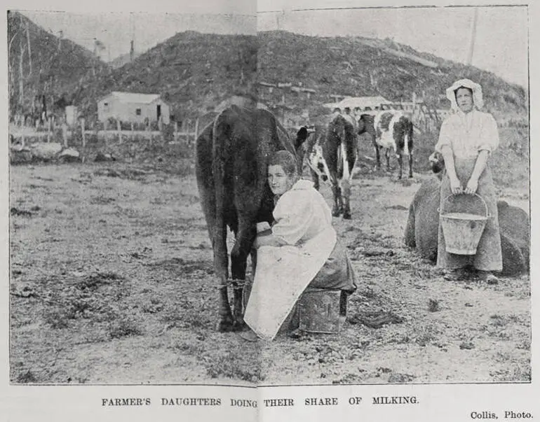 Image: Farmer's daughters doing their share of milking