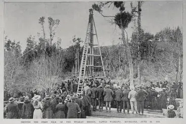 Image: Driving the first pile of the Tuakau Bridge, lower Waikato, Auckland, June 18, 1901