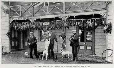 Image: The First Bag of the Season at Rangiriri, Waikato, May 2, 1901