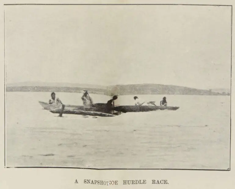 Image: A snapshot [of the ] hurdle race