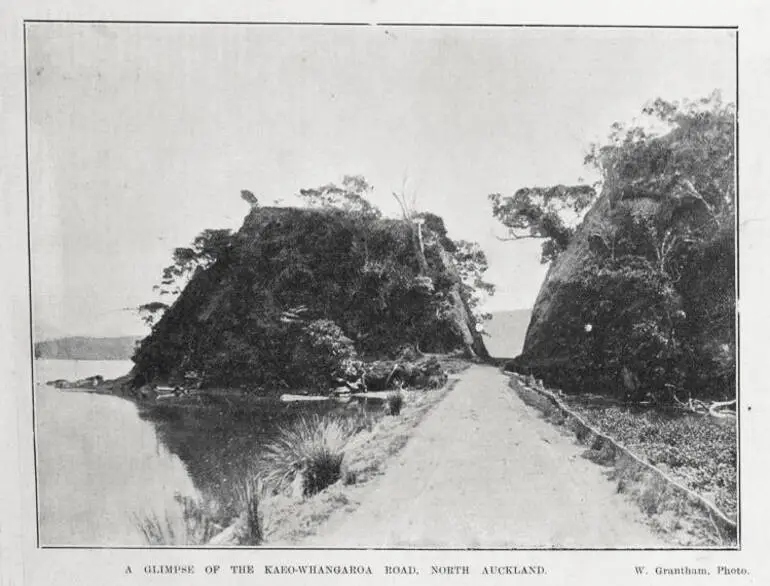 Image: A glimpse of the Kaeo-Whangaroa road, North Auckland