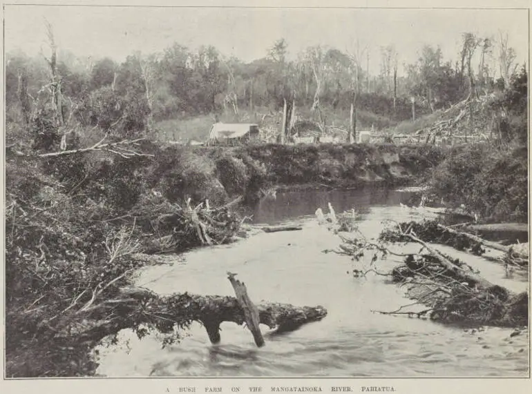 Image: A bush farm on the Mangatainoka River, Pahiatua