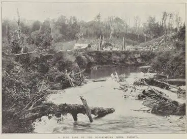 A bush farm on the Mangatainoka River, Pahiatua Image: A bush farm on the Mangatainoka River, Pahiatua