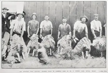 Image: New Zealand's wool industry: shearers ready to commence work on Mr W Puttie's farm, Riwaka, Nelson
