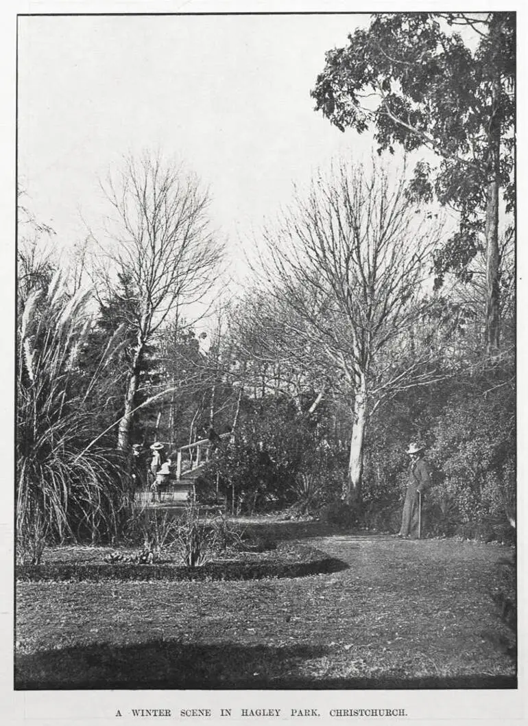 Image: A WINTER SCENE IN HAGLEY PARK, CHRISTCHURCH