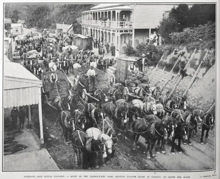 Image: AUCKLAND GOLD MINING INDUSTRY: A SCENE ON THE PAEROA-WAIHI ROAD, SHOWING WAGGON TEAMS AT WAIKINO EN ROUTE FOR WAIHI