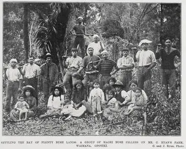 SETTLING THE BAY OF PLENTY BUSH LANDAS: A GROUP OF MAORI BUSH FELLERS ON MR. C. RYAN'S FARM, WAIMANA, OPOTIKI Image: SETTLING THE BAY OF PLENTY BUSH LANDAS: A GROUP OF MAORI BUSH FELLERS ON MR. C. RYAN'S FARM, WAIMANA, OPOTIKI