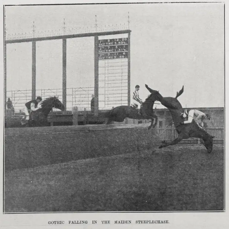Image: GOTHIC FALLING IN THE MAIDEN STEEPLECHASE