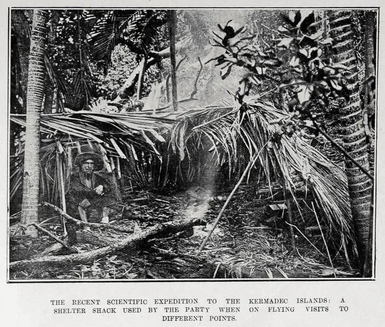 Image: THE RECENT SCIENTIFIC EXPEDITION TO THE KERMADEC ISLANDS: SHELTER SHACK USED BY THE PARTY WHEN ON FLYING VISITS DEFFERENT POINTS