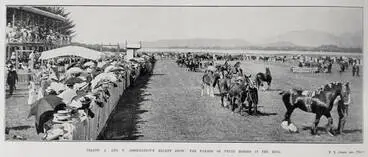 Image: NELSON A. AND P. ASSOCIATION'S RECENT SHOW: THE PARADE OF PRIZE HORSES IN THE RING