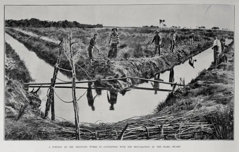 Image: A PORTION OF THE DRAINAGE WORKS IN CONNECTION WITH THE RECLAMATION OF THE PIAKO SWAMP