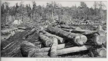 Image: THE LOGS READY FOR THE FIRST STAGE OF THEIR JOURNEY