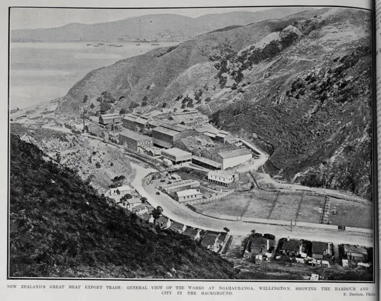 Image: NEW ZEALAND'S GREAT MEAT EXPORT TRADE: GENERAL VIEW OF THE WORKS AT NGAHAURANGA, WELLINGTON, SHOWING THE HARBOUR AND CITY IN THE BACKGROUND