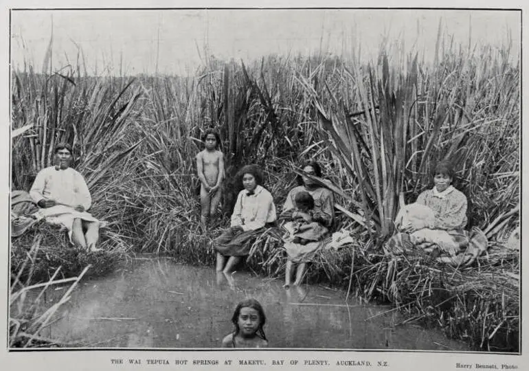Image: THE WAI TEPUIA HOT SPRINGS AT MAKETU, BAY OF PLENTY, AUCKLAND, N.Z.
